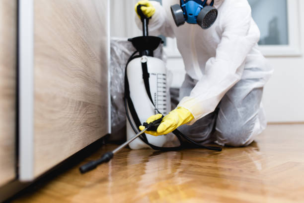 Pest Control for Restaurants in Crimora, VA