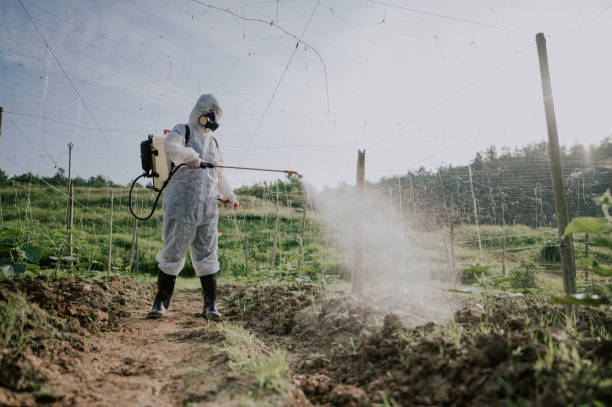 Best Local Pest Control Services  in Crimora, VA