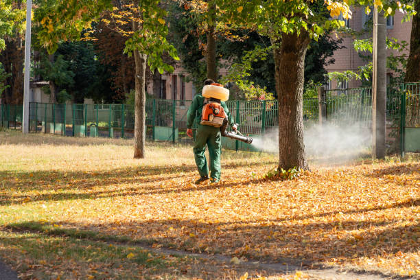 Best Best Pest Control Companies  in Crimora, VA