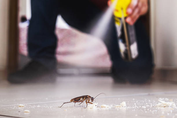 Best Flea Control Services  in Crimora, VA